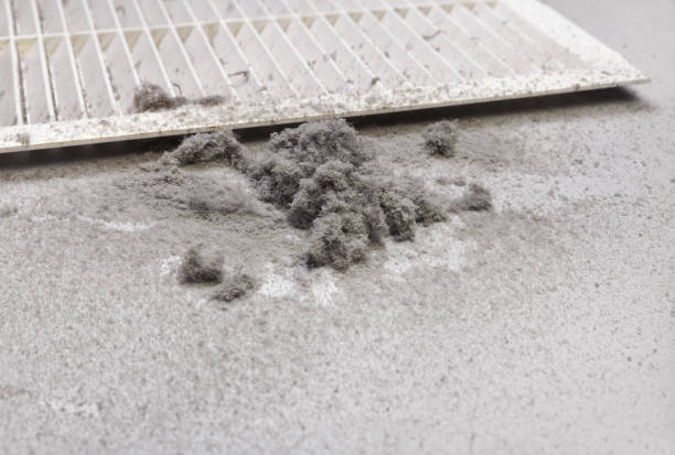 Best Local Air Duct Cleaning Services  in Sycamore, GA