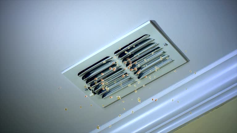 Best Air Duct Cleaning Near Me  in Sycamore, GA