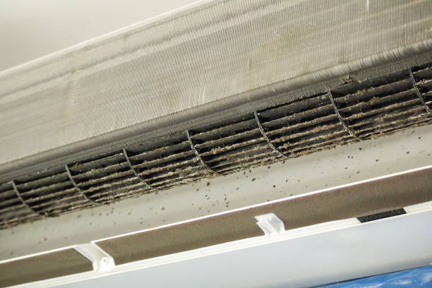 Best Affordable Air Duct Cleaning  in Sycamore, GA